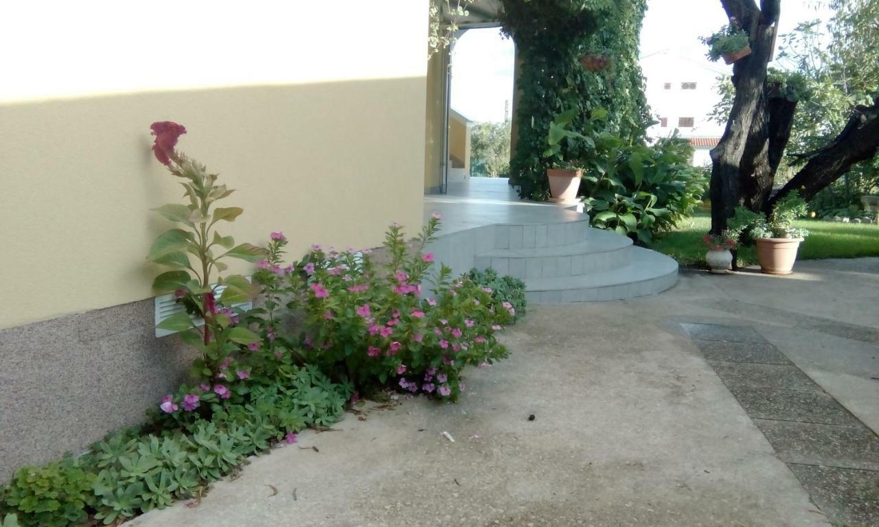 Apartments Meri Vodice Exterior foto